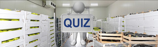 Chill Out or Burn It Down: The Flow of Food – Storage - Quiz
