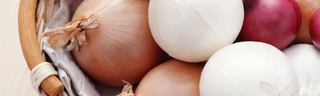 National Onion Day