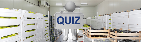 Chill Out or Burn It Down: The Flow of Food – Storage - Quiz