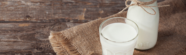National Milk Day