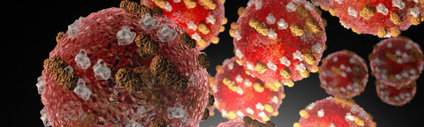 Norovirus