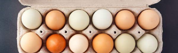 Egg Allergies